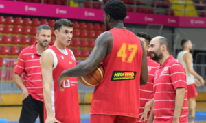 Димитријевиќ: „Ќе дадам сè од себе за да стигнеме до Европското првенство“